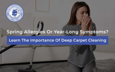 Spring Allergies Or Year-Long Symptoms? Learn The Importance Of Deep Carpet Cleaning