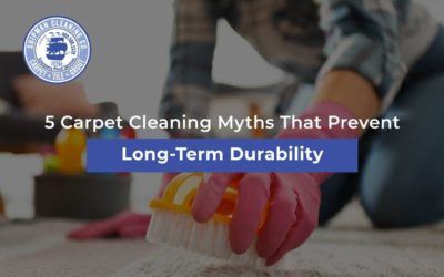 5 Carpet Cleaning Myths That Prevent Long-Term Durability