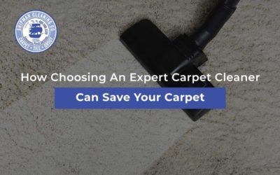 How Choosing An Expert Carpet Cleaner Can Save Your Carpet