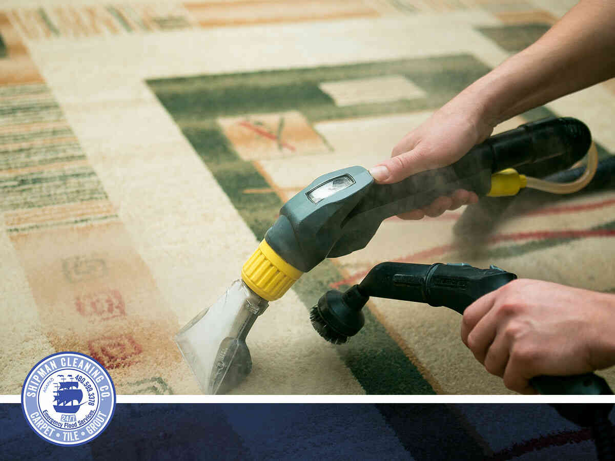 Professional Carpet Deep Cleaning From a Qualified Rug Cleaning Company In Mesa, AZ