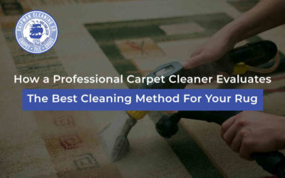 How a Professional Carpet Cleaner Evaluates The Best Cleaning Method For Your Rug