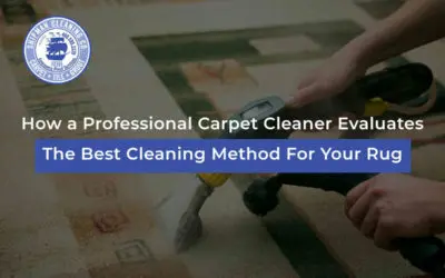How a Professional Carpet Cleaner Evaluates The Best Cleaning Method For Your Rug