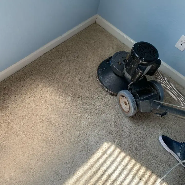 carpet cleaning service