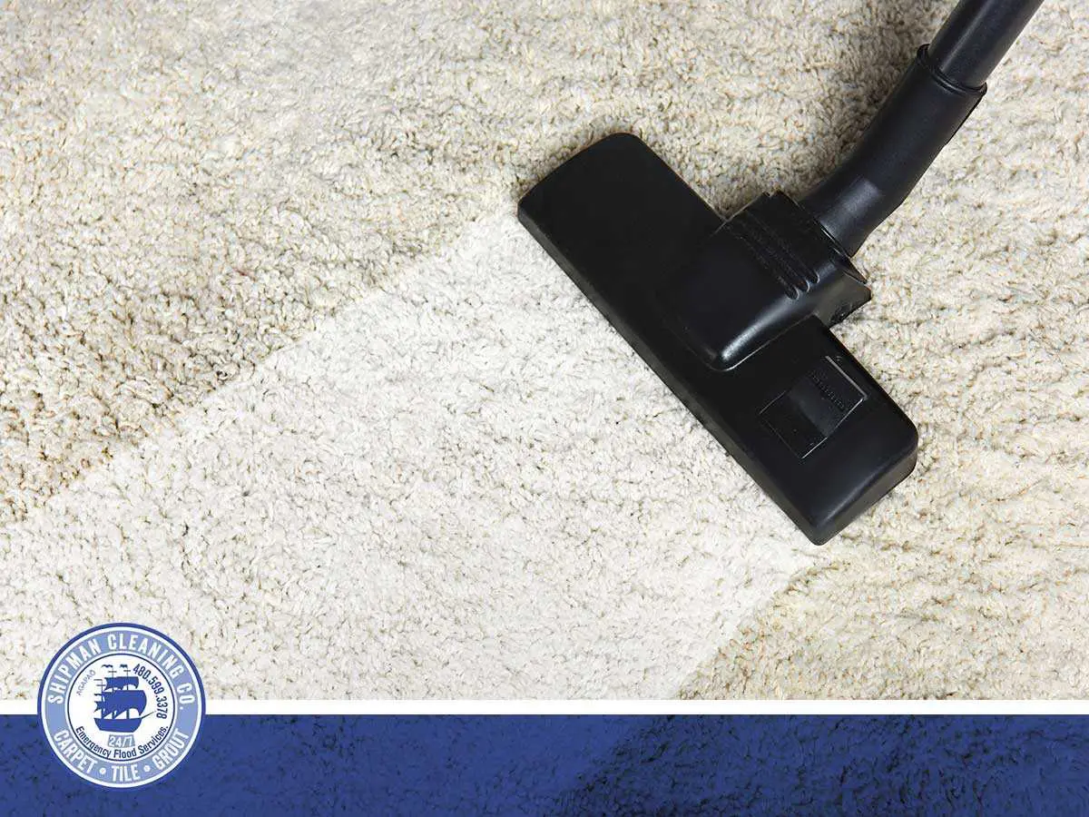 Choosing An Expert Carpet Cleaner