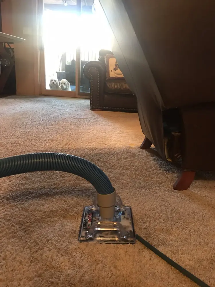 spot removal carpet cleaning